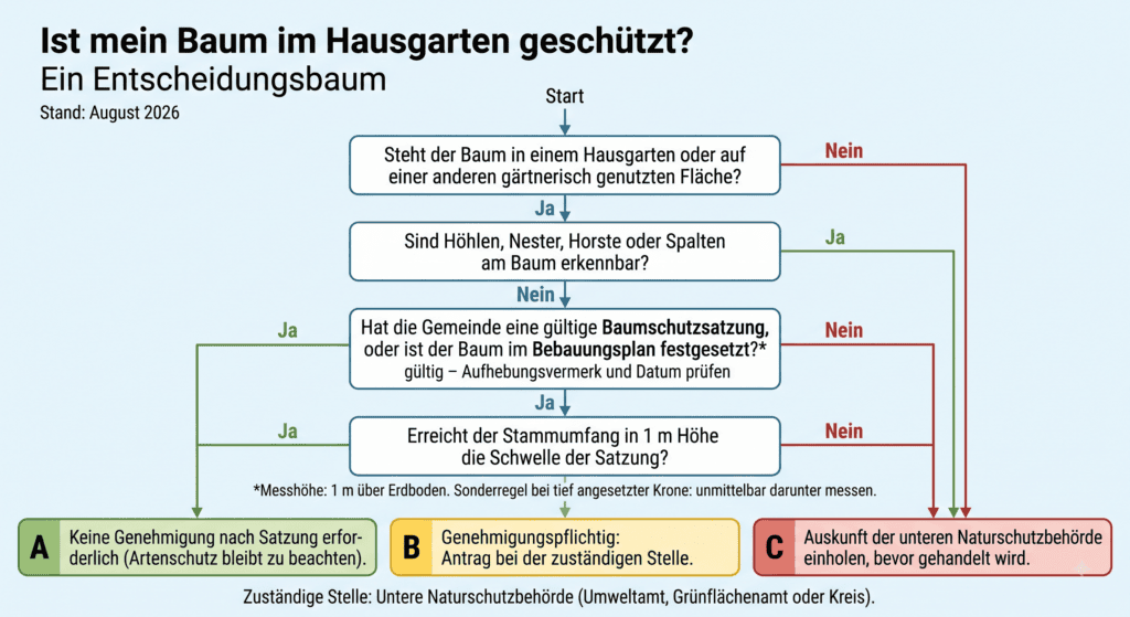 Ist mein Baum im Hausgarten geschützt?